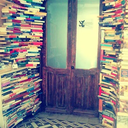 Ratones De Biblioteca Guest house La Laguna (Tenerife)