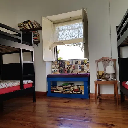 Ratones De Biblioteca Guest house 2*