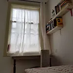 Ratones De Biblioteca La Laguna