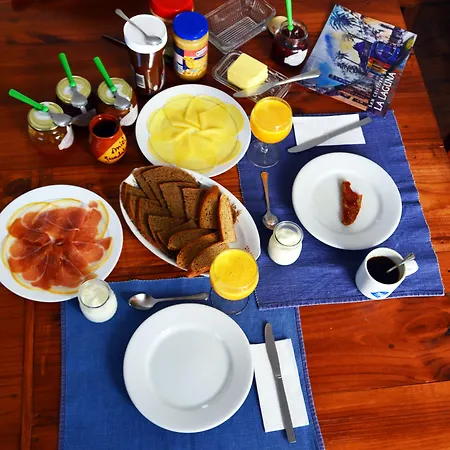 Ratones De Biblioteca Vendégház