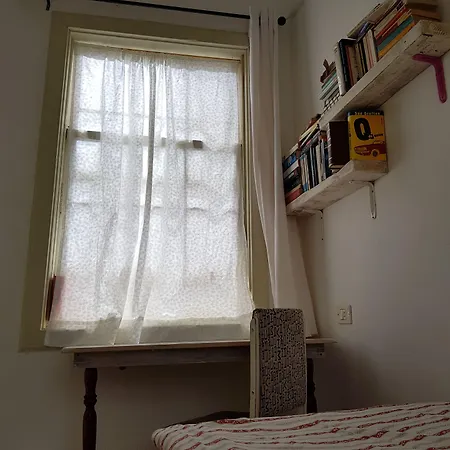 Ratones De Biblioteca La Laguna