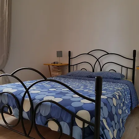 Ratones De Biblioteca La Laguna